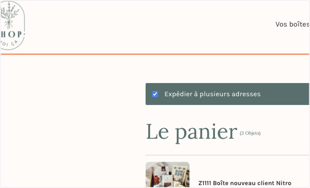 Cocher la case "Expédier à plusieurs adresses"