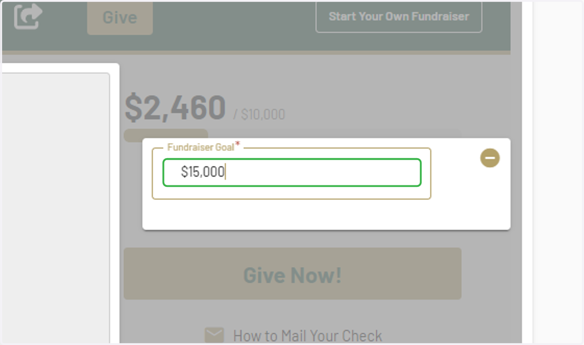 Type in desired campaign/fundraiser goal