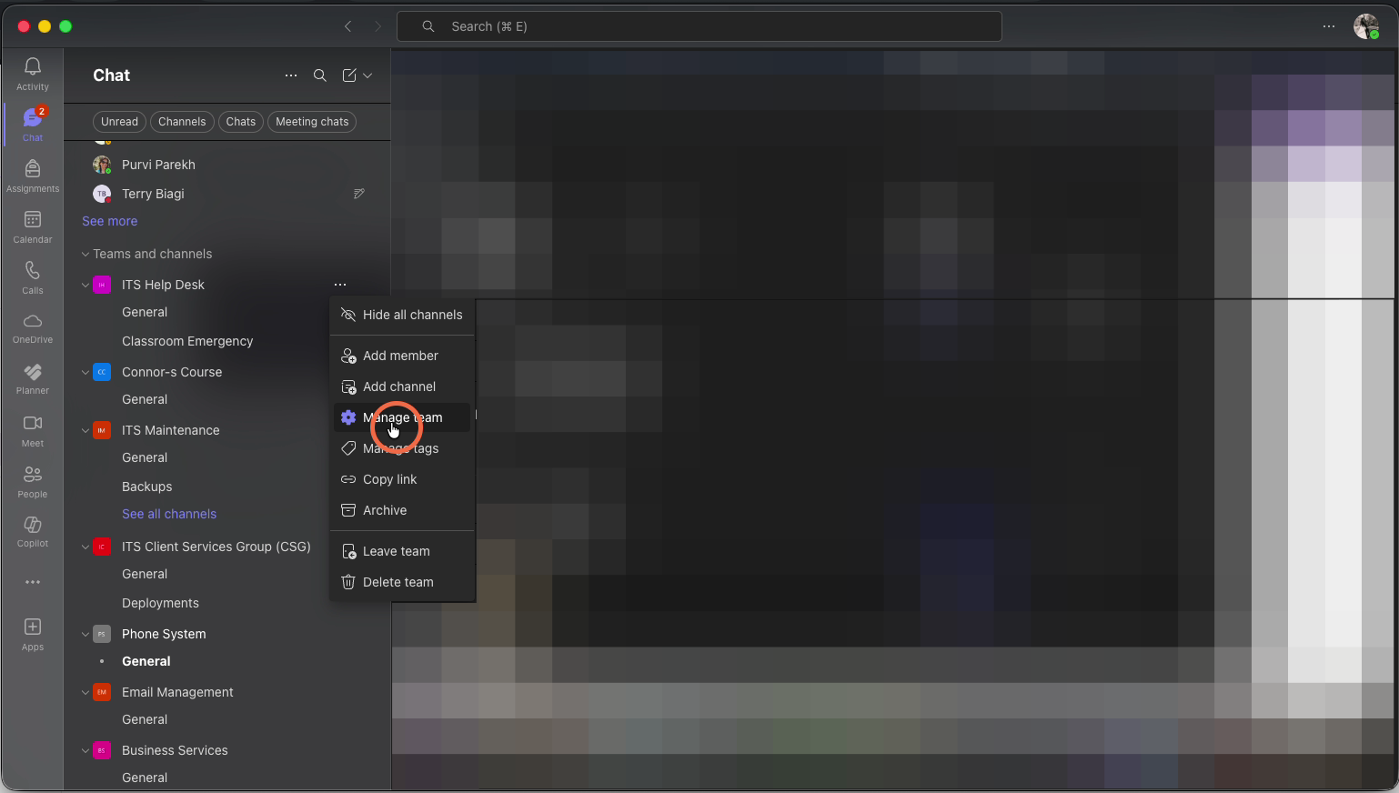 Click on "Manage Team"