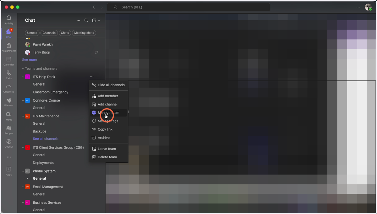 Click on "Manage Team"