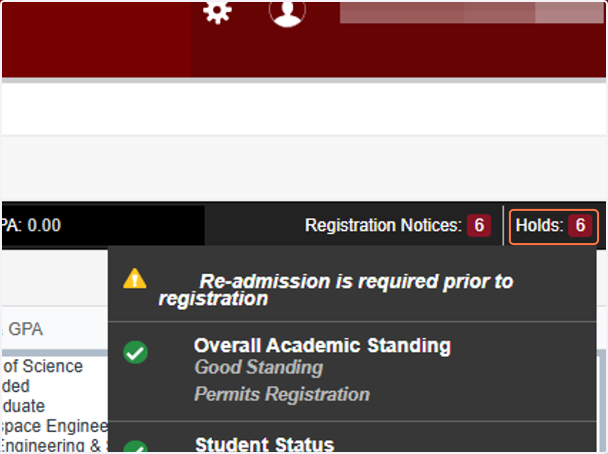 Click on Holds to view student's holds