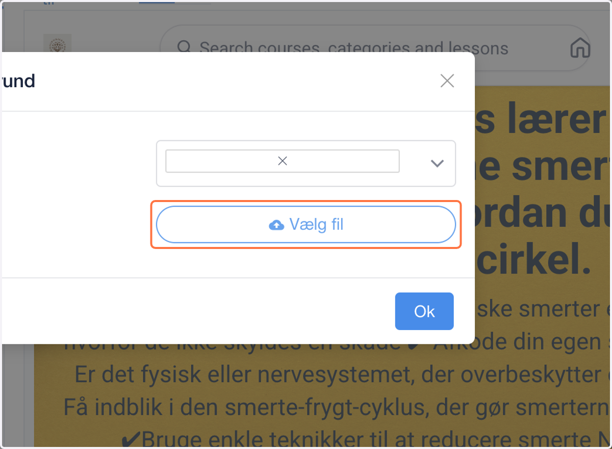 Klik på Vælg fil