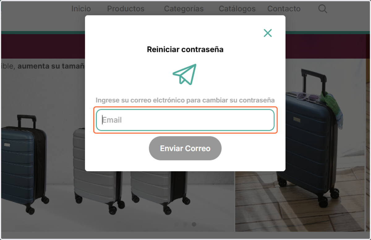 Escribe el correo con el que estás registrado en nuestra plataforma y da click en el botón enviar