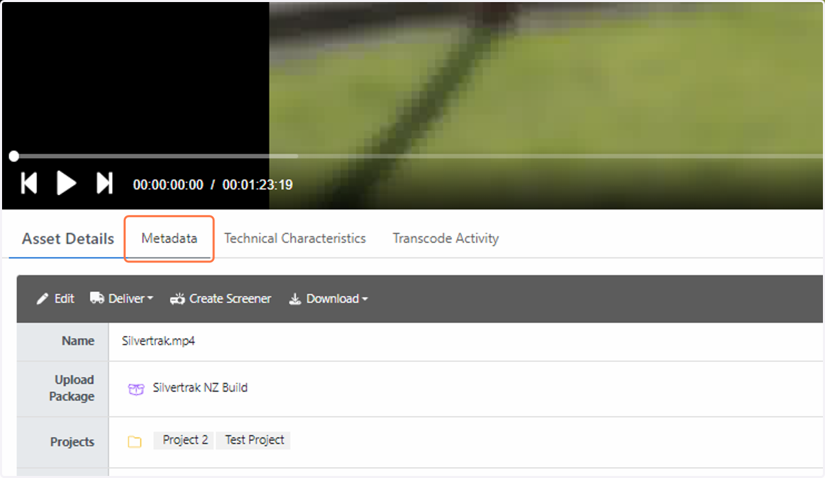 Click on Metadata