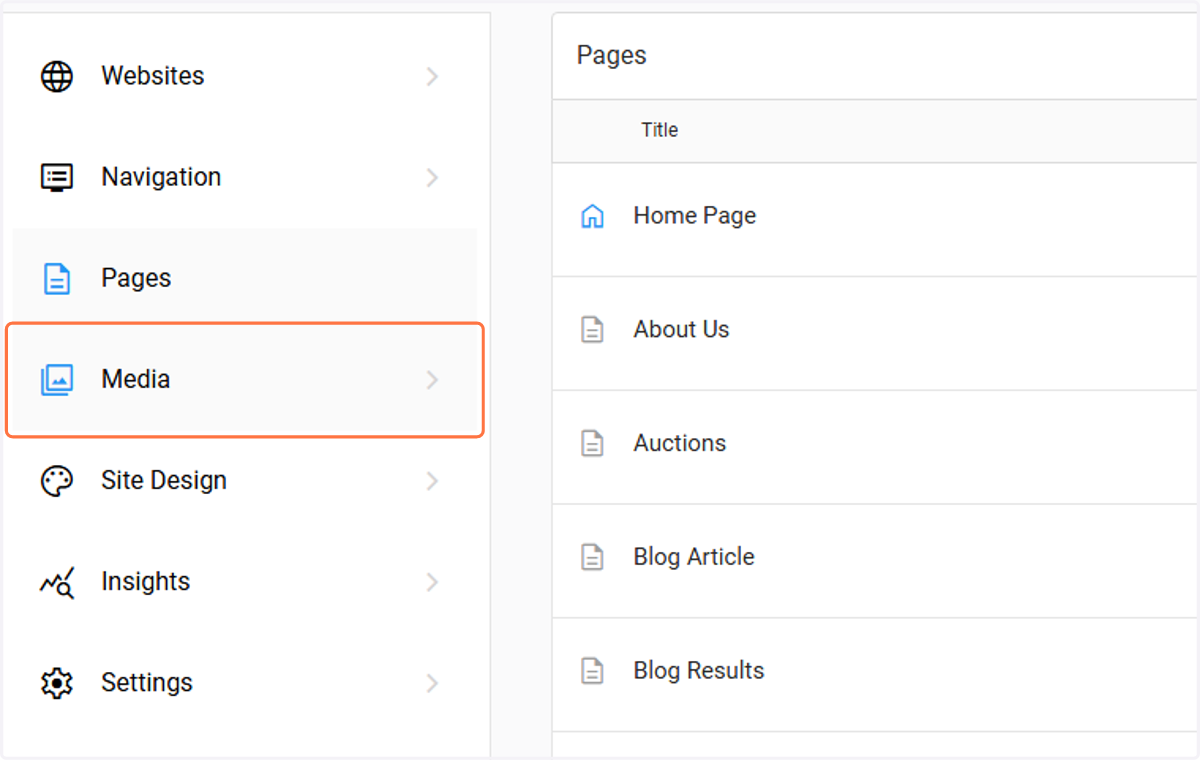 From the Website Module, Click on MEDIA
