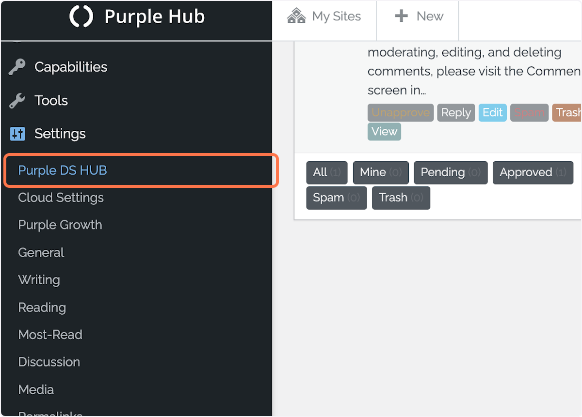 Click on 'Purple DS HUB'