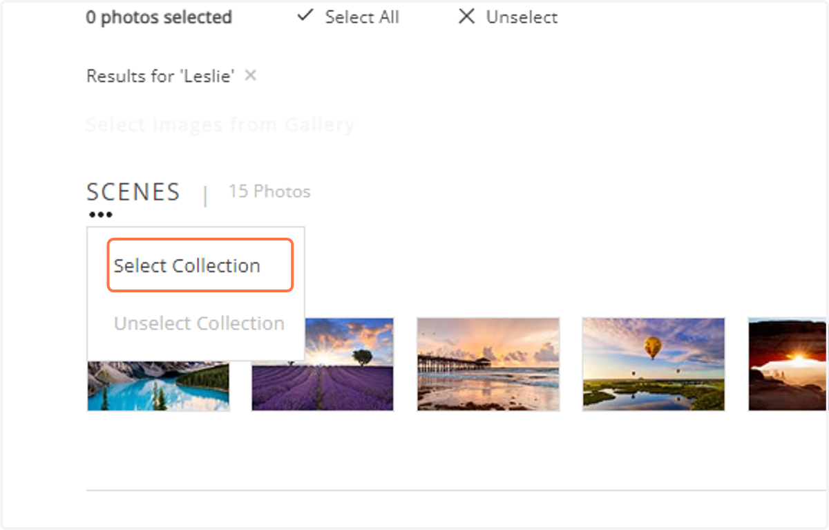 Click "Select Collection" to select the specific images.