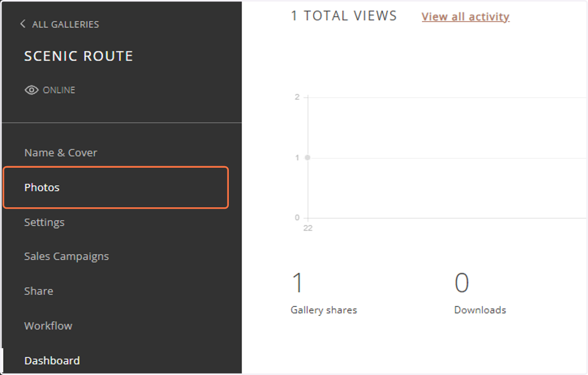 After your client has selected photos, begin in the "Photos" tab of the project to create a new Slideshow.