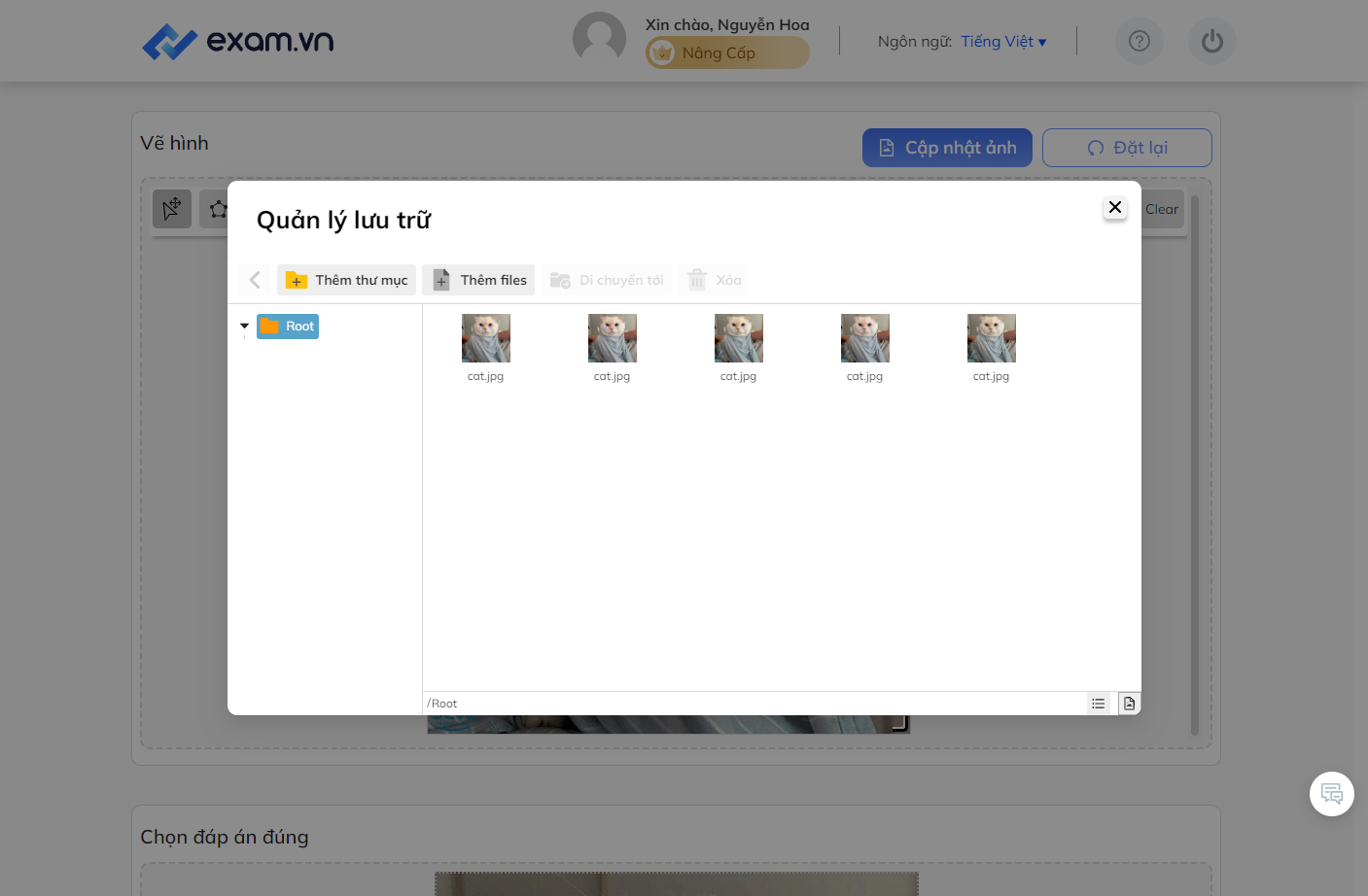 Tại mục "Quản lý lưu trữ", chọn "Thêm thư mục" hoặc "Thêm files" để phân loại và quản lý hình ảnh