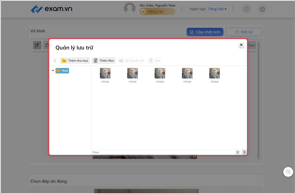 Tại mục "Quản lý lưu trữ", chọn "Thêm thư mục" hoặc "Thêm files" để phân loại và quản lý hình ảnh