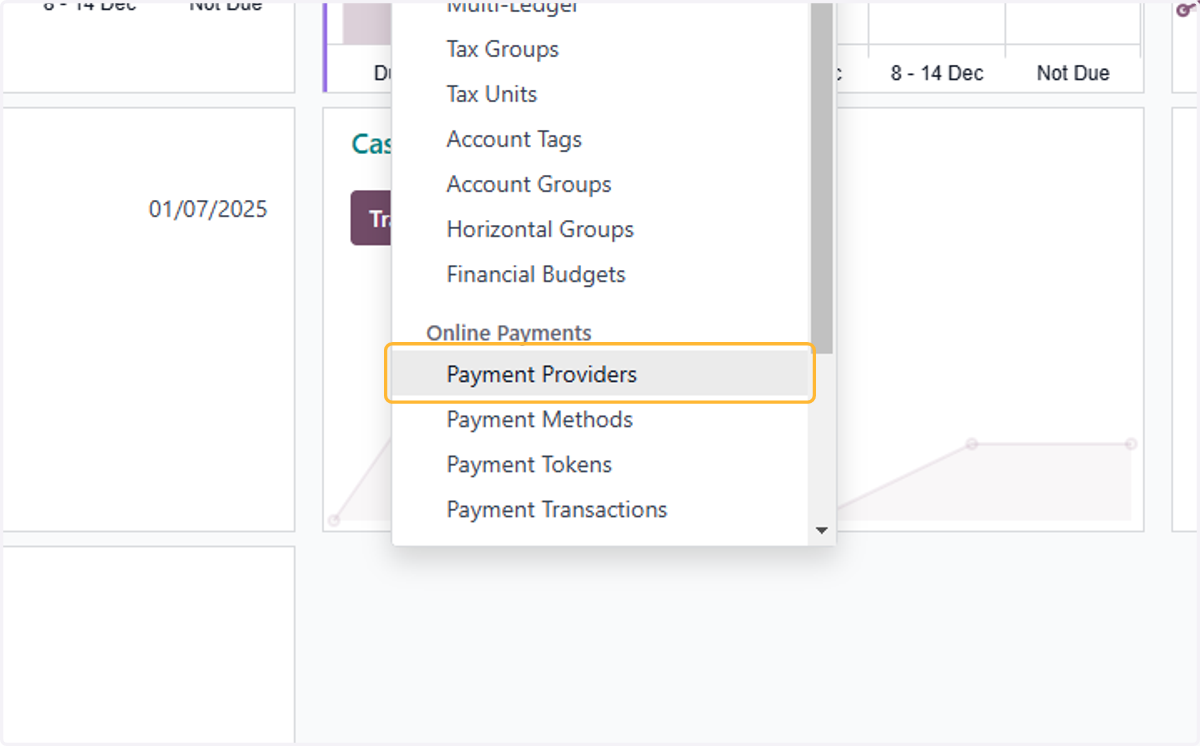 Click on Payment Providers