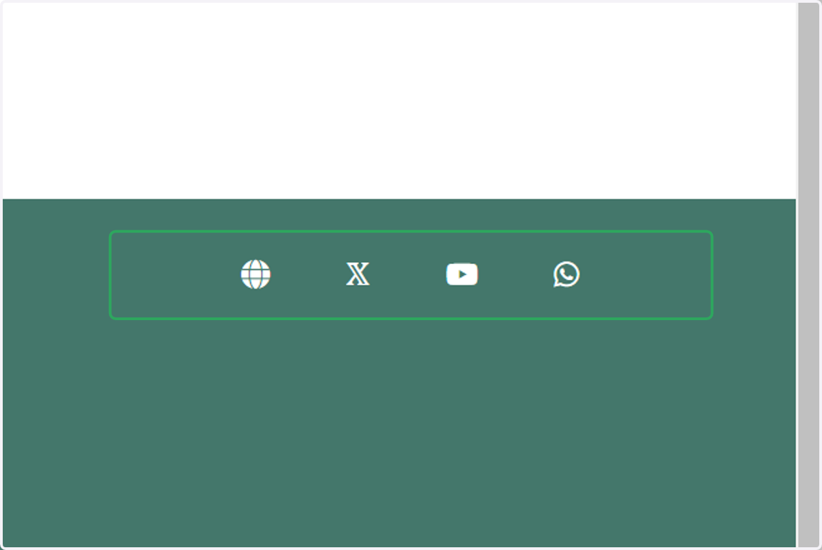 Contact and social media button
