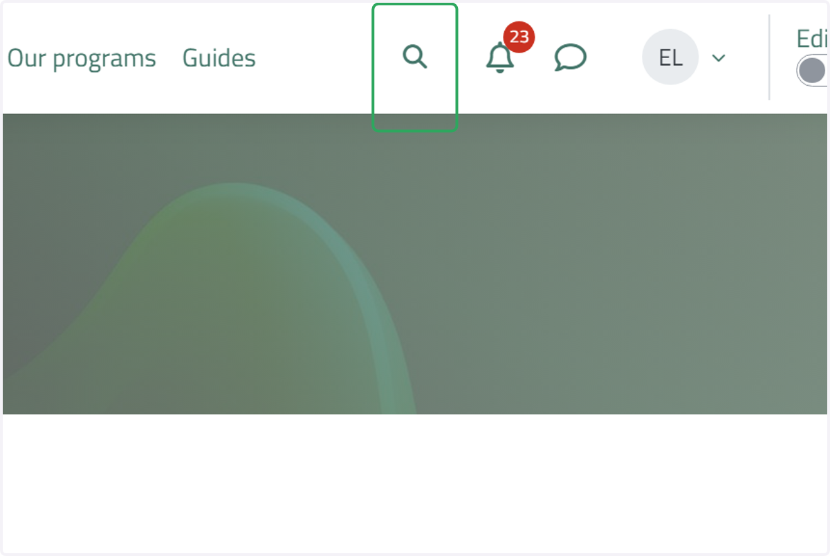 Click on Toggle search input
