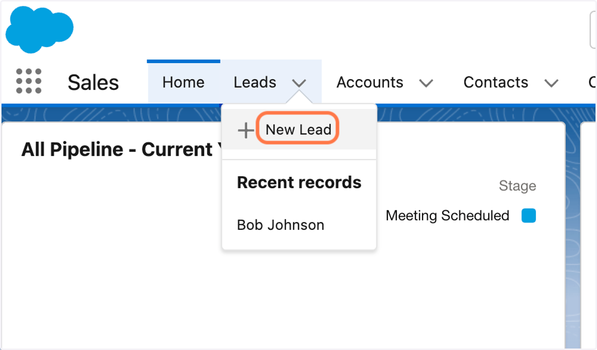 Click on New Lead