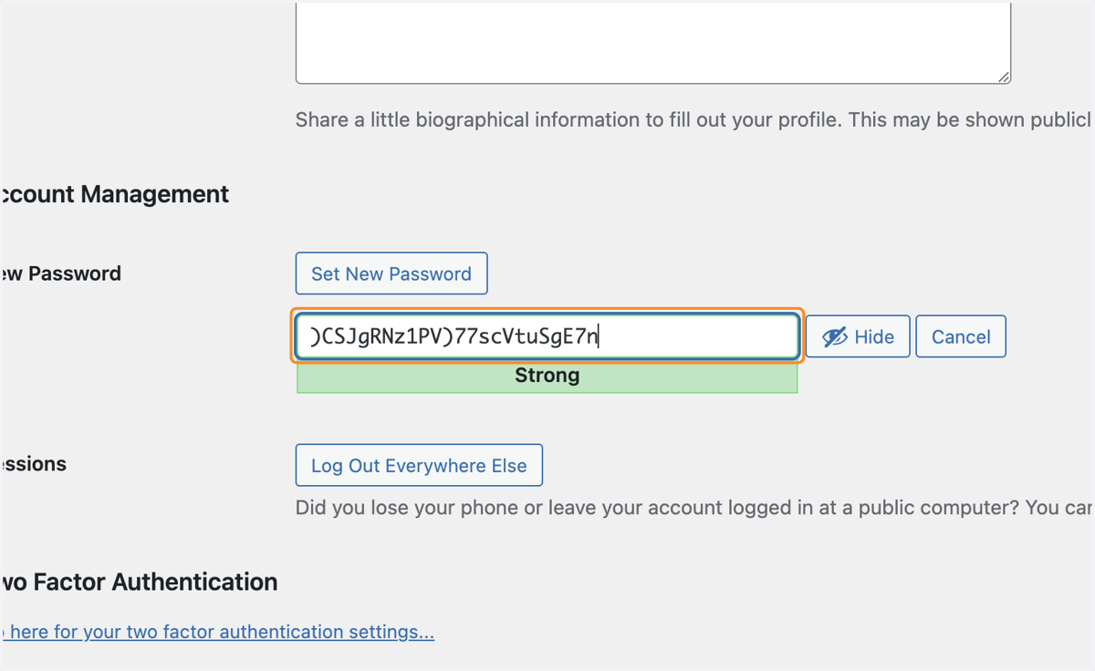 A complicated, secure password generated automatically after selecting Set new password