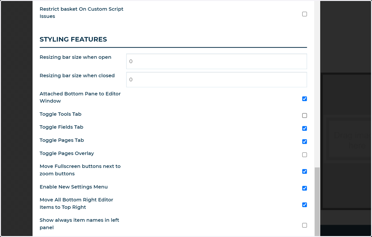 Navigate to the Styling Features section of the Product Options