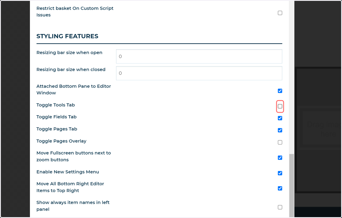 Uncheck Toggle Tools Tab