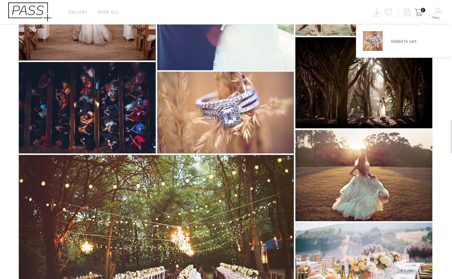 Your photo is now added to your cart.
