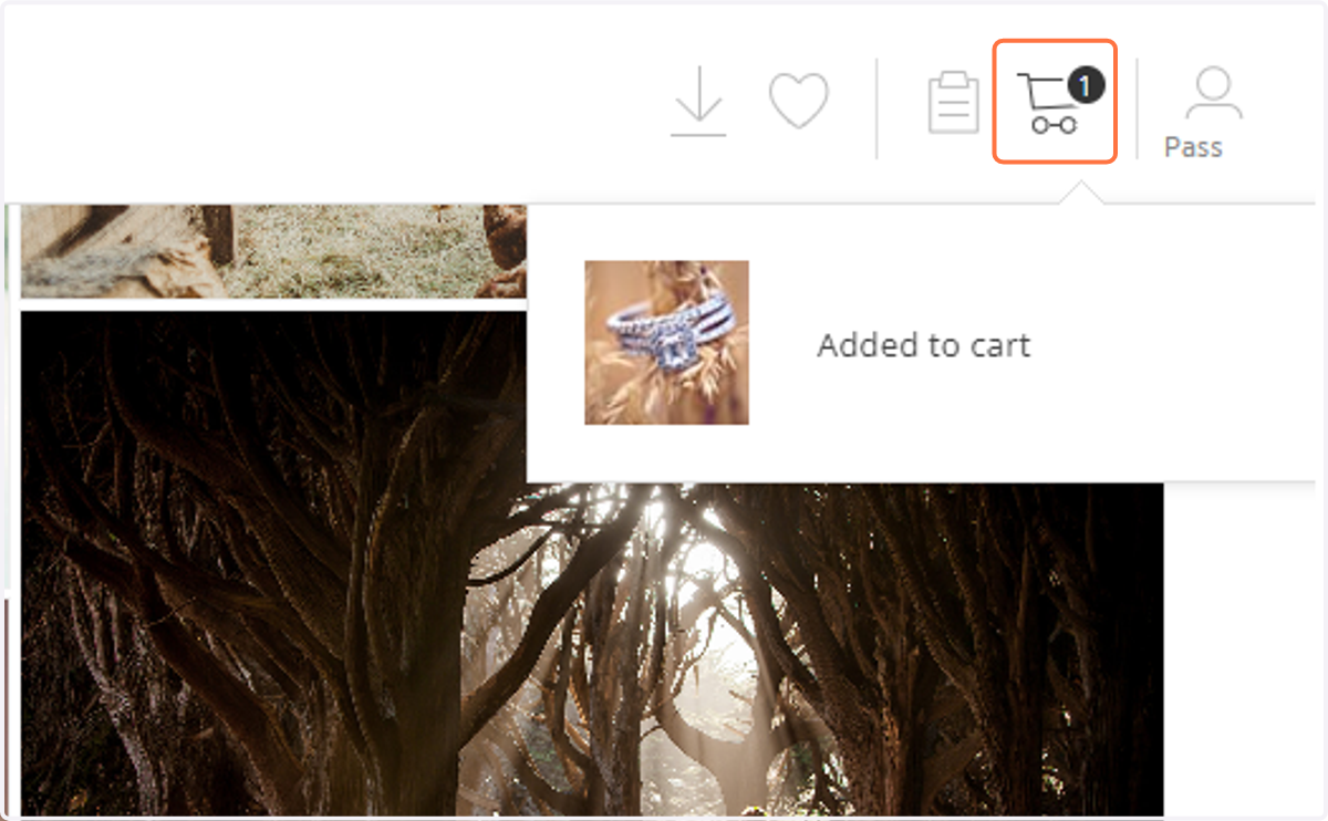 Your photo is now added to your cart.