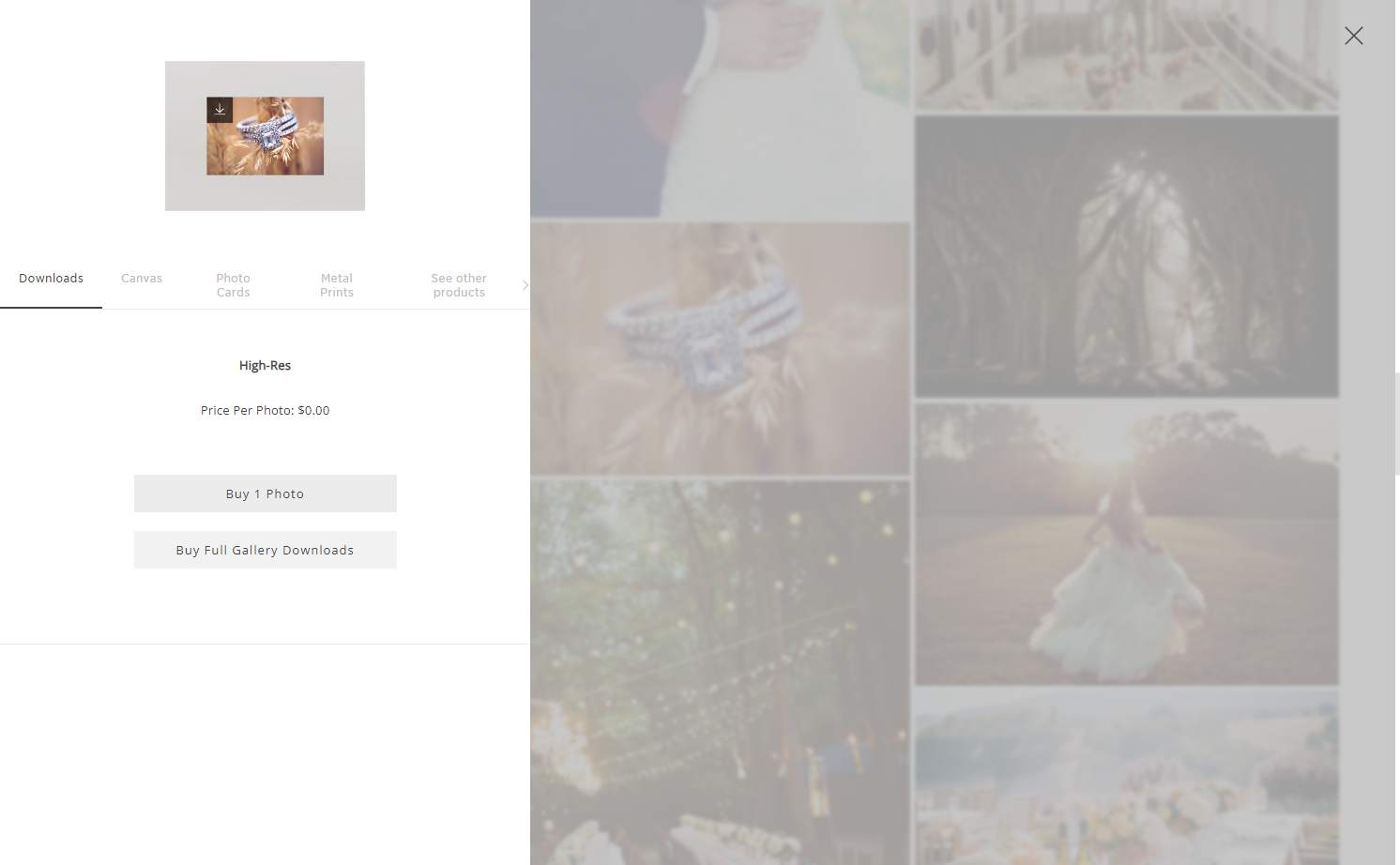 Then select to Buy 1 Photo or Buy Full Gallery Downloads.