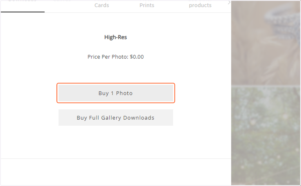 Then select to Buy 1 Photo or Buy Full Gallery Downloads.