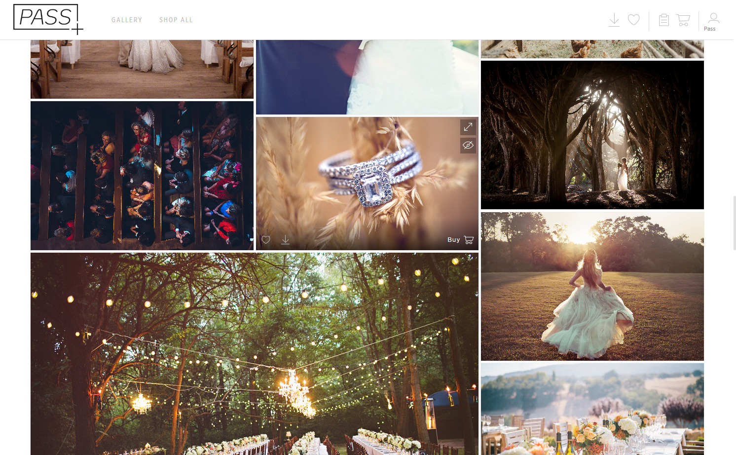 Hover over the photo you would like to purchase and click Buy.
