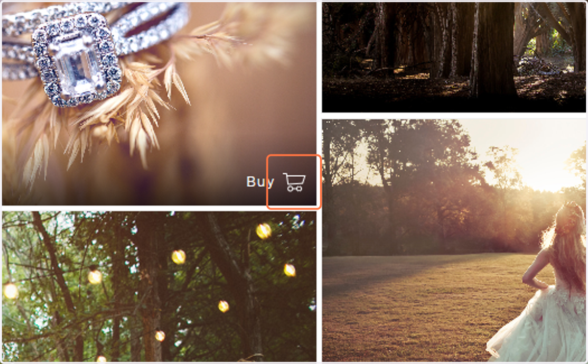 Hover over the photo you would like to purchase and click Buy.