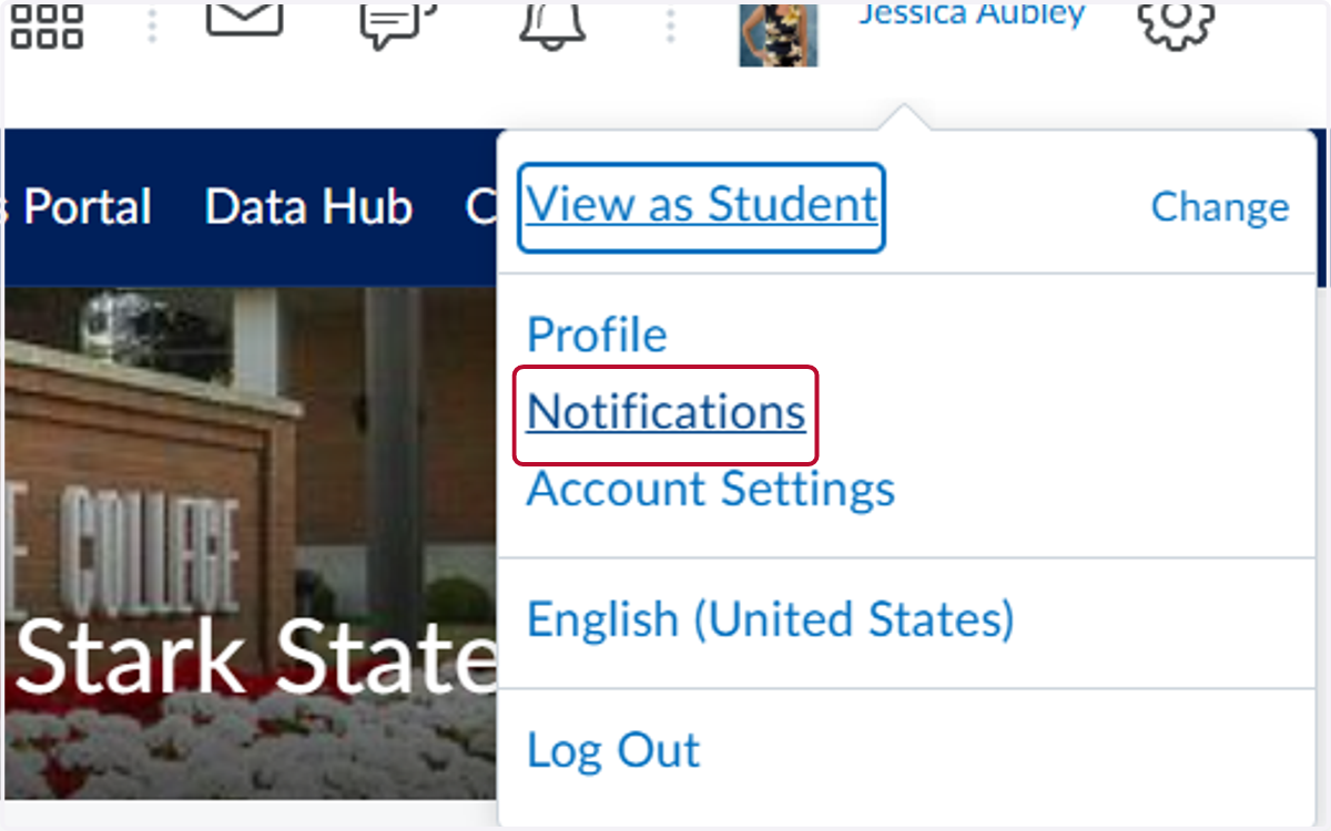 Click on Notifications