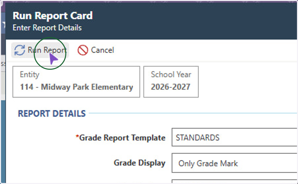 Click Run Report. After the report processes, you can download or print.