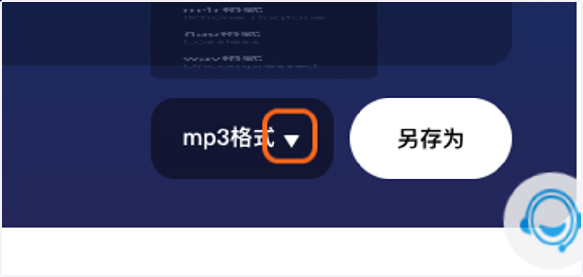 导出格式设置