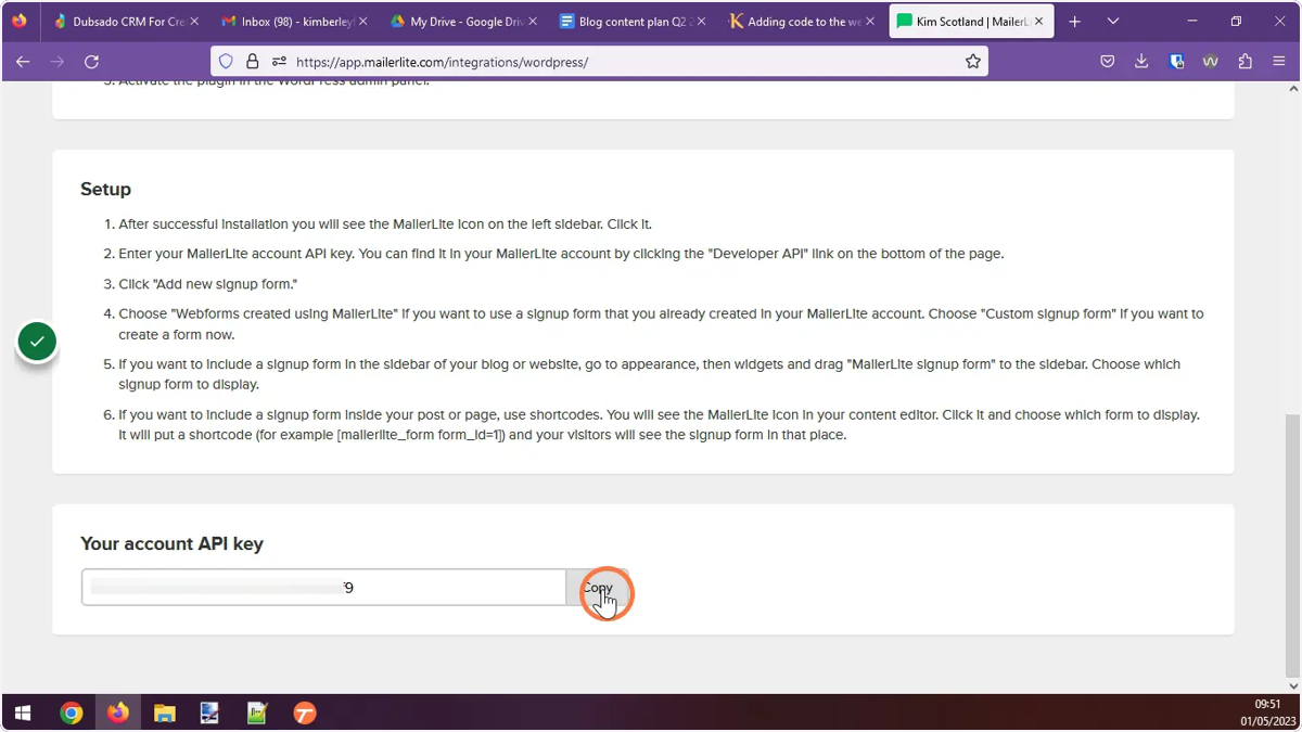 The user clicking the copy button next to the API key.