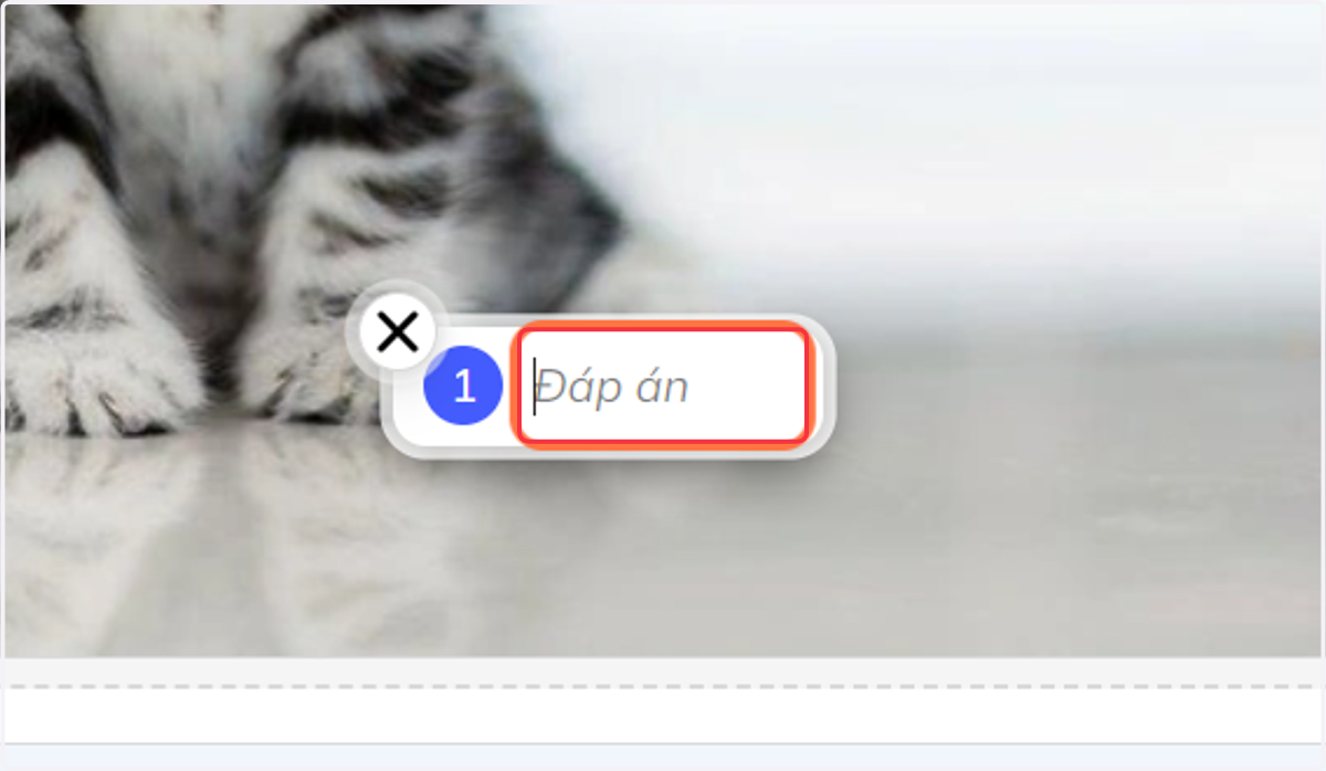 Nhấn vào "Đáp án" để điền đáp án mẫu vào khung "Đáp án"