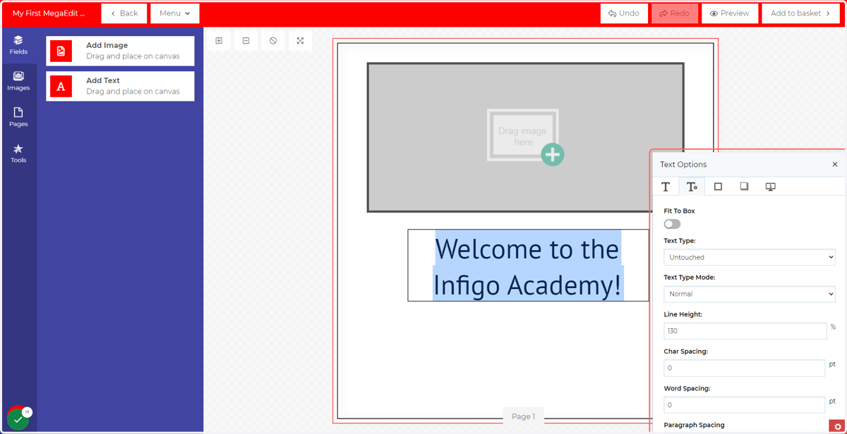 Advanced Text Options tab