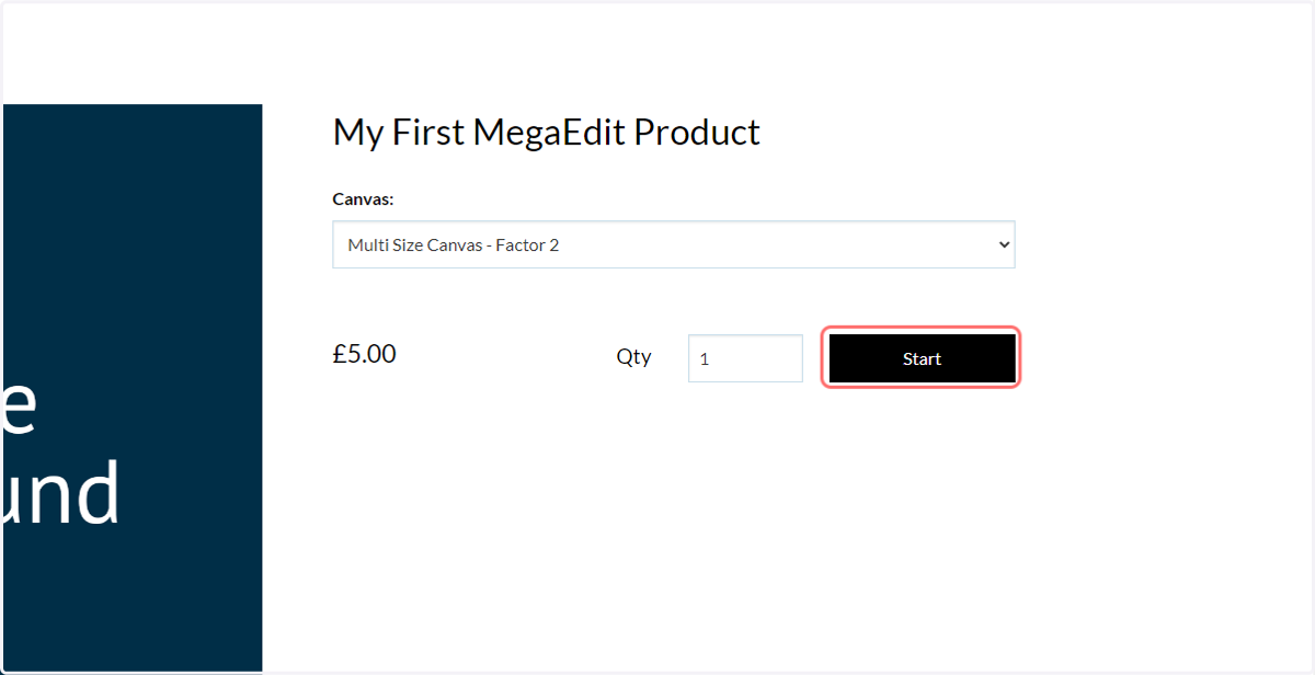 Navigate to the MegaEdit product and hit Start to launch the MegaEdit editor