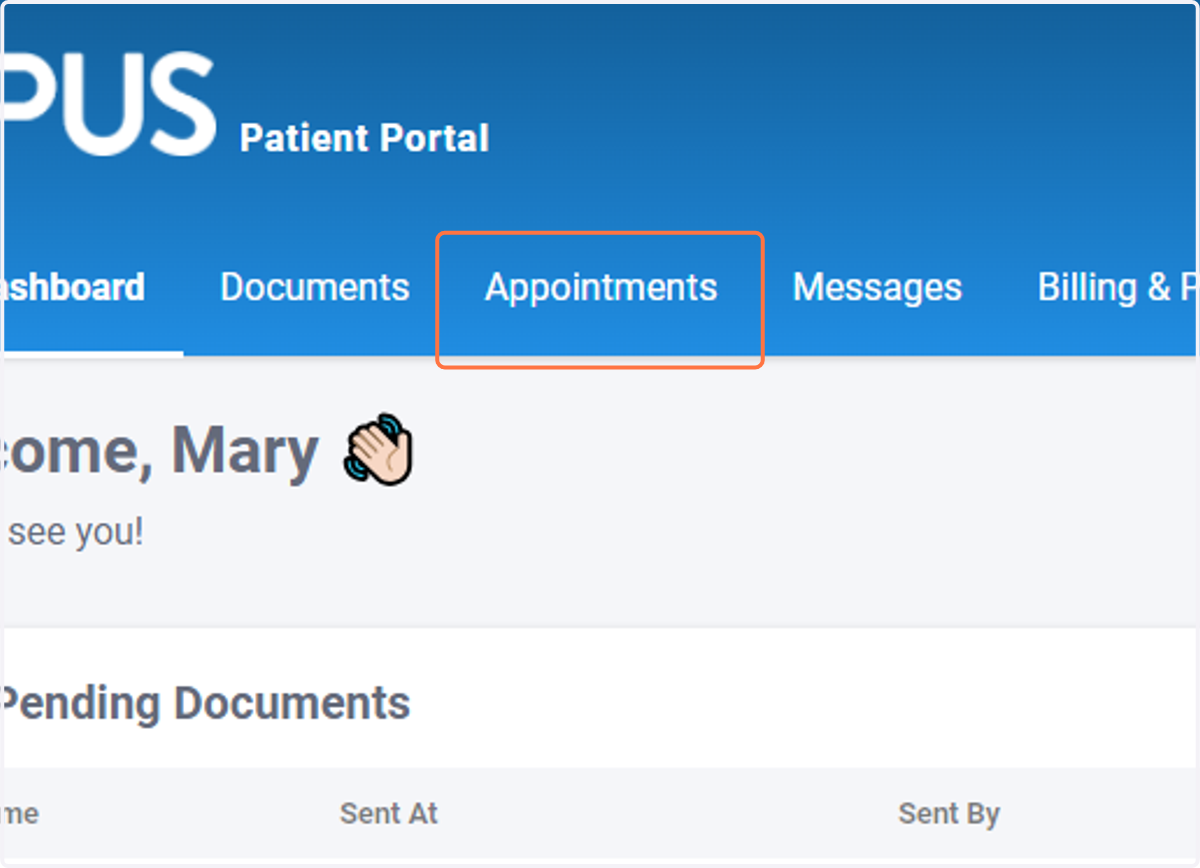 Option 1: Click on Appointments