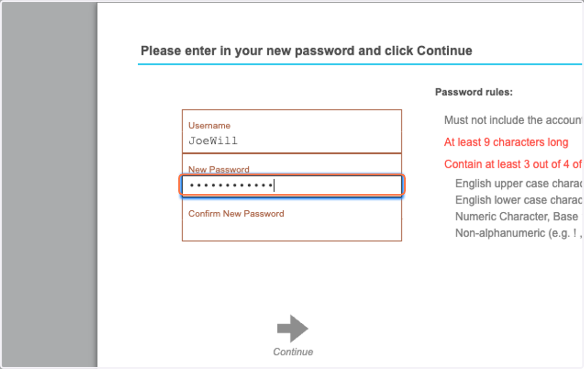 Type in your new password