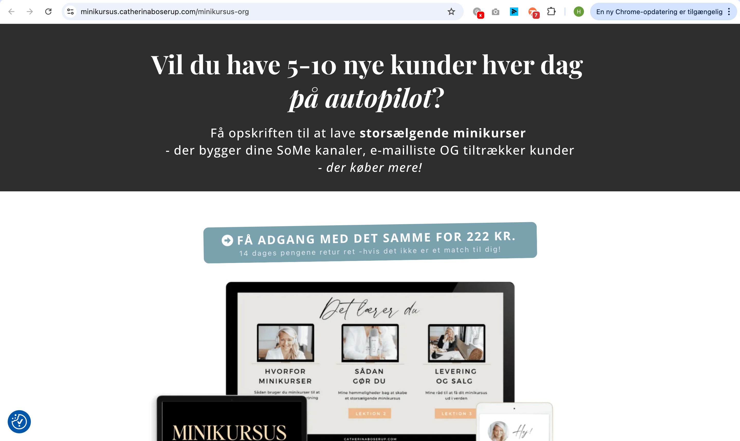 Et vindue åbner med din funnel og det er linket i browseren du skal dele.