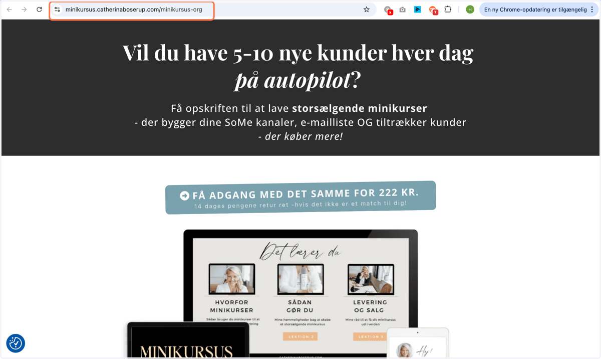 Et vindue åbner med din funnel og det er linket i browseren du skal dele.