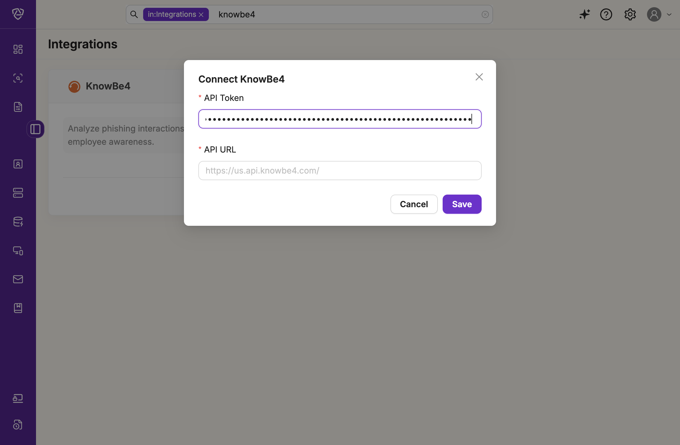 Paste the copied API Token