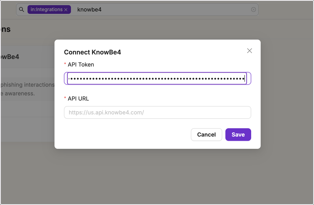 Paste the copied API Token