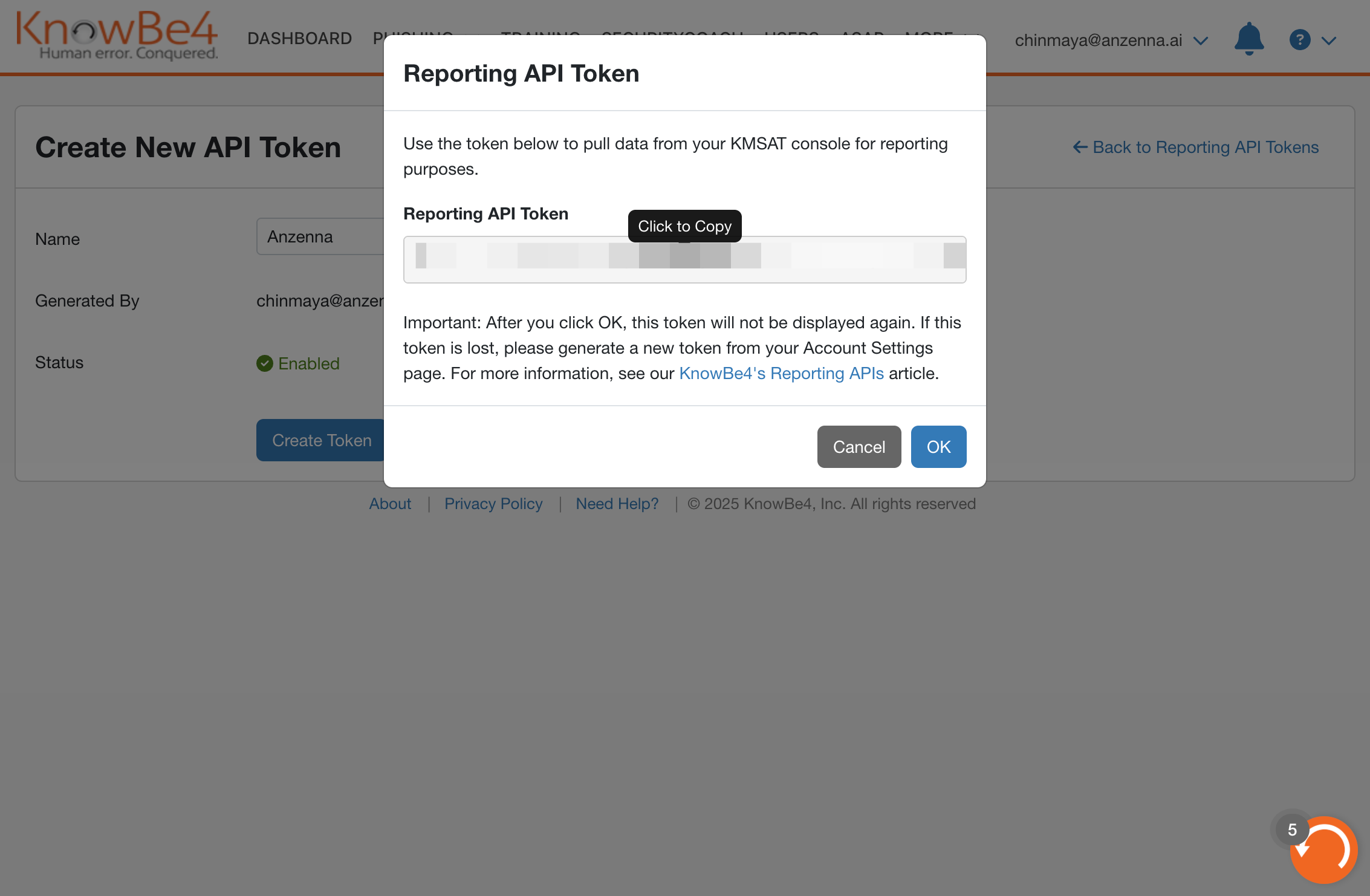Click on Reporting API Token…