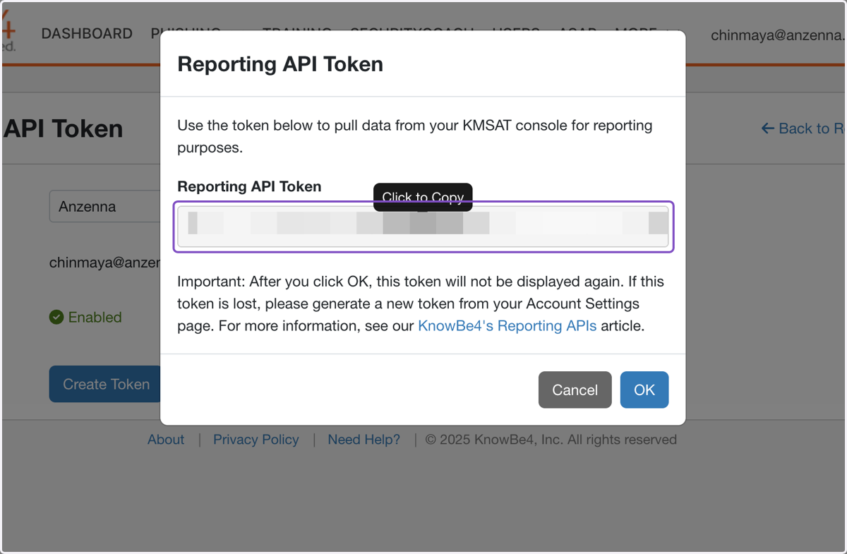 Click on Reporting API Token…