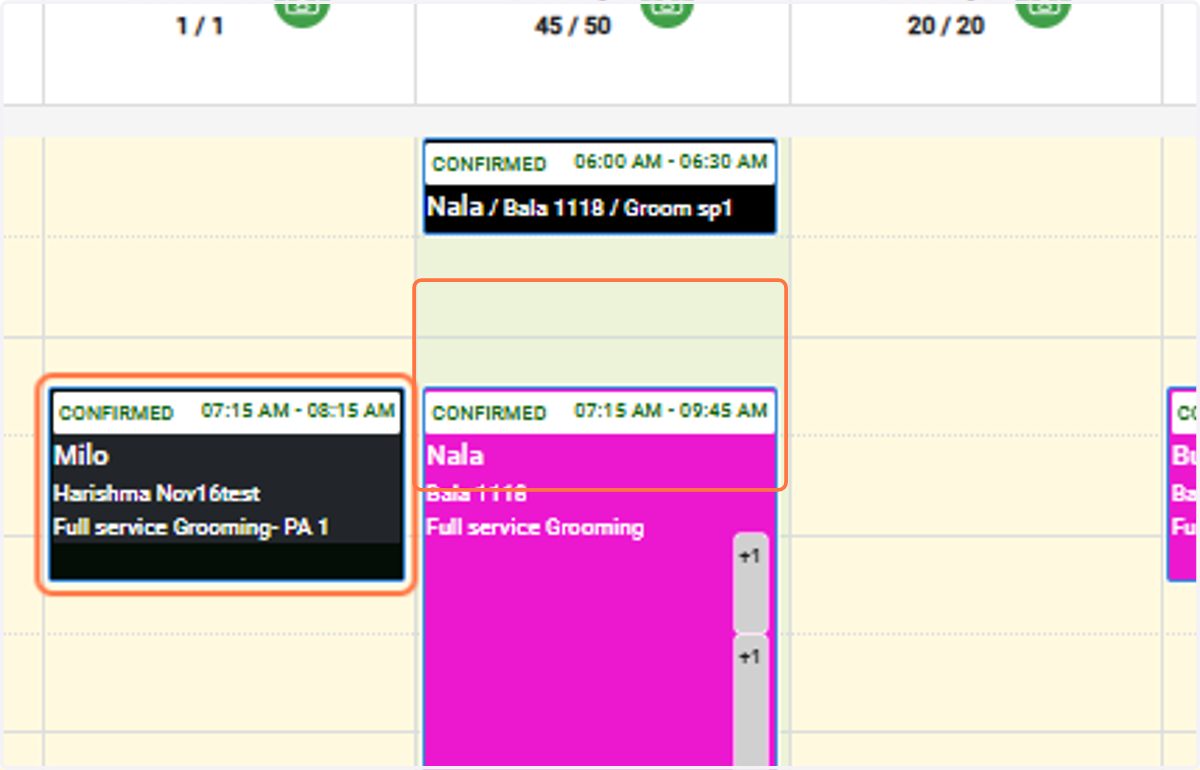 Move Appointments: Drag and drop appointments to another staff or to a new time slot.