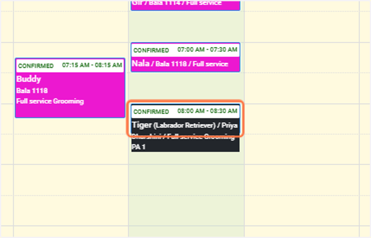 View Appointment: The appointment will now appear on the calendar.