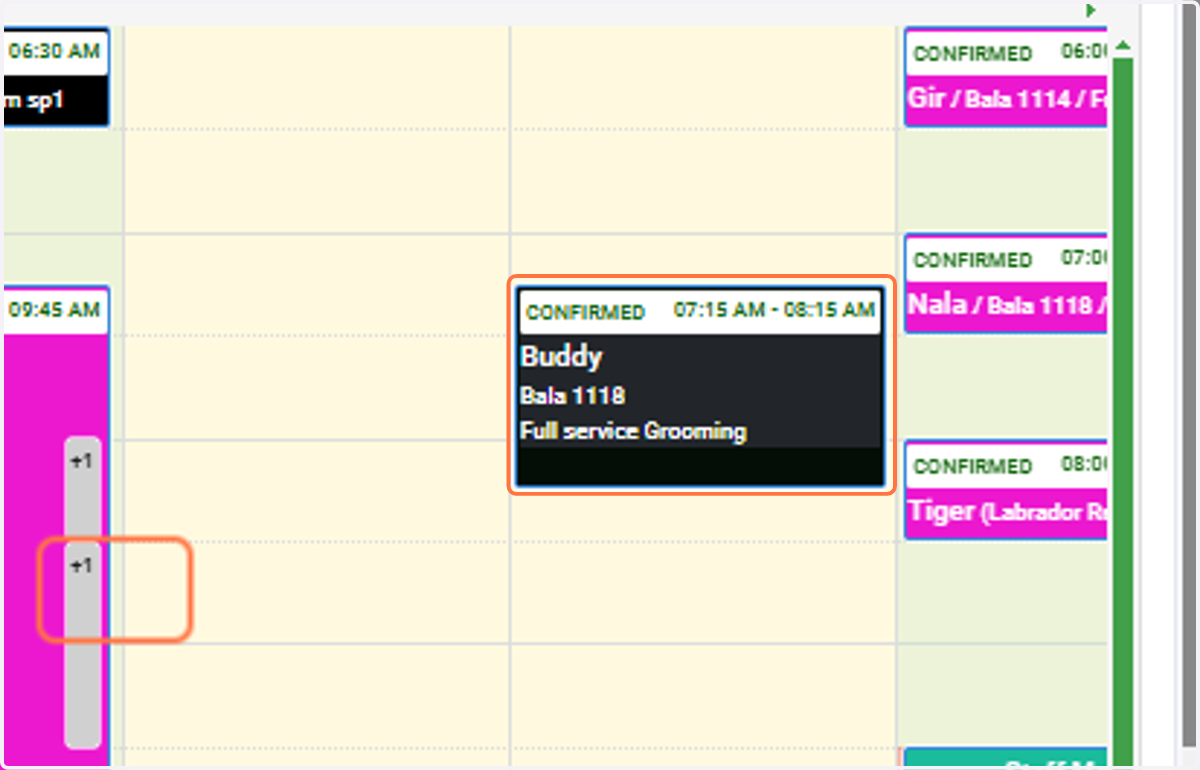 View Staff-Based Services: Confirm the services displayed as per the staff’s assignments.