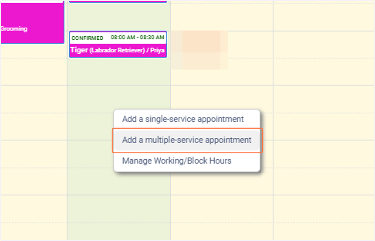 Click on Add a multiple-service appointment