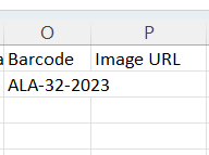 This is optional; you can provide the item's barcode or image link.