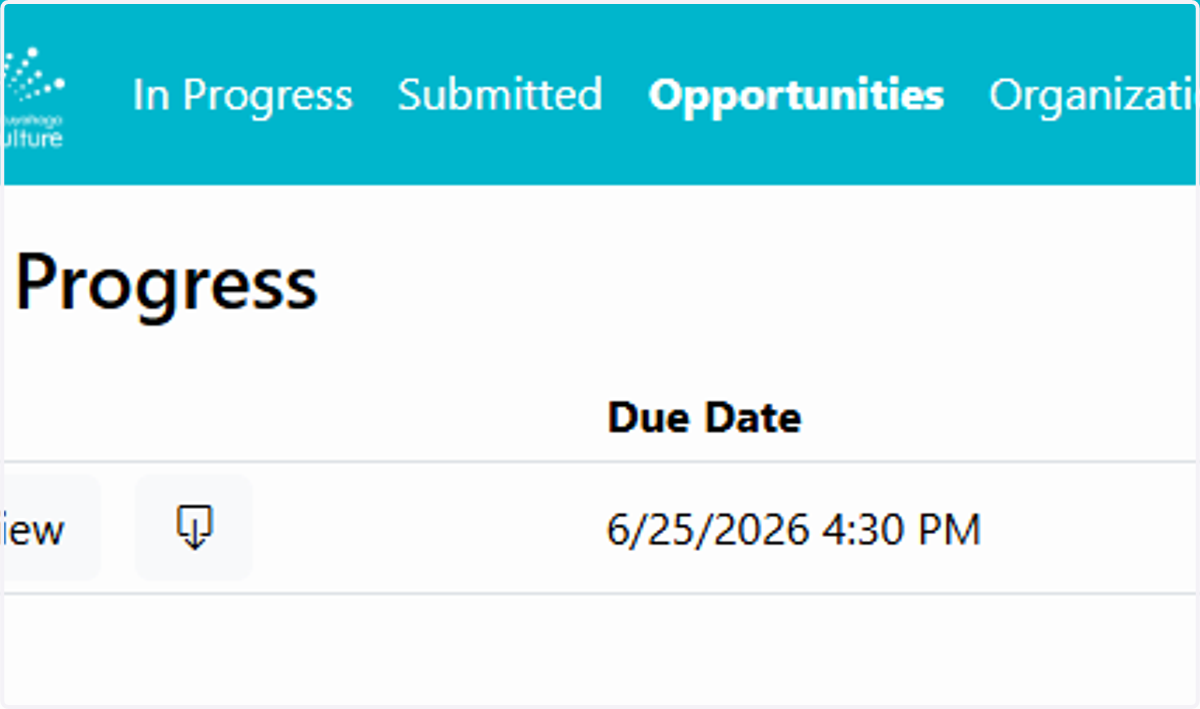 Click on "Opportunities" in the top toolbar
