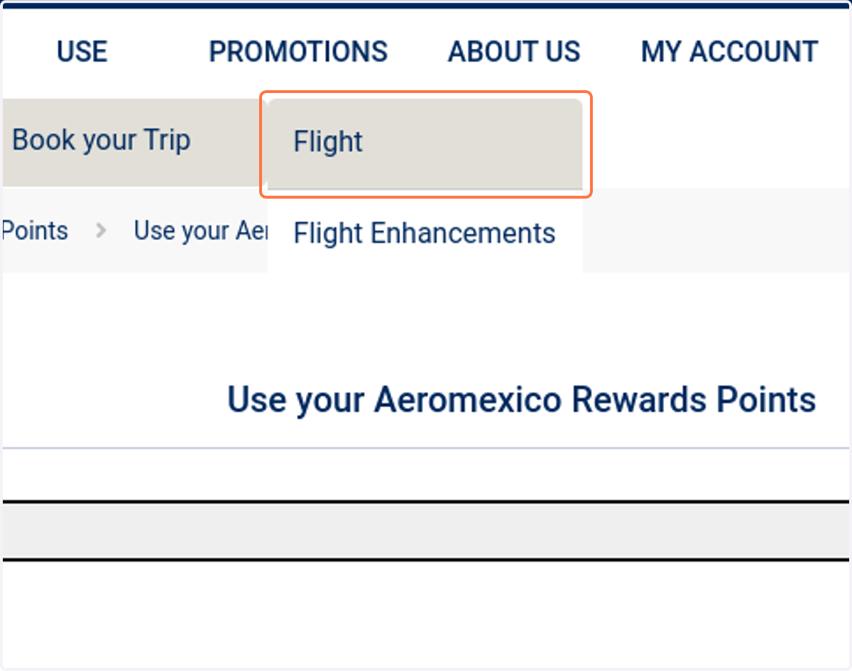 Click on Flight