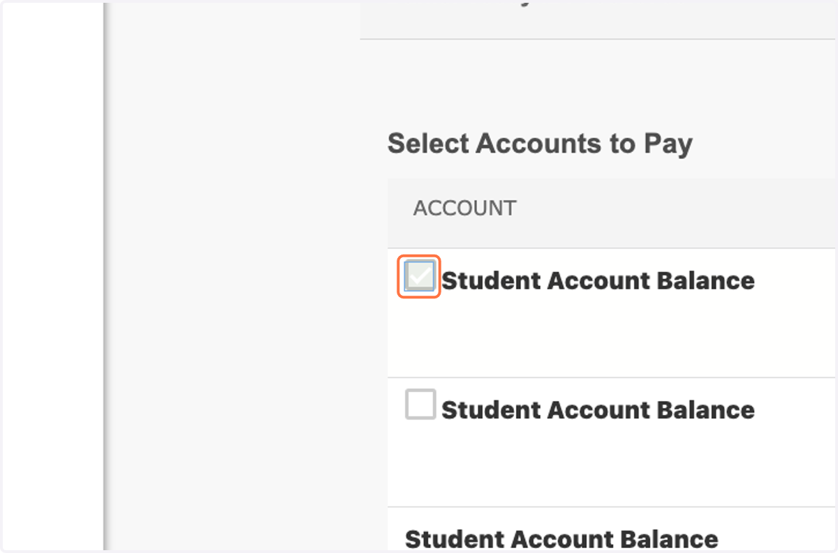 Select the checkbox next to Student Account Balance for the terms for which you owe tuition. Your Payment Amount total should automatically adjust.